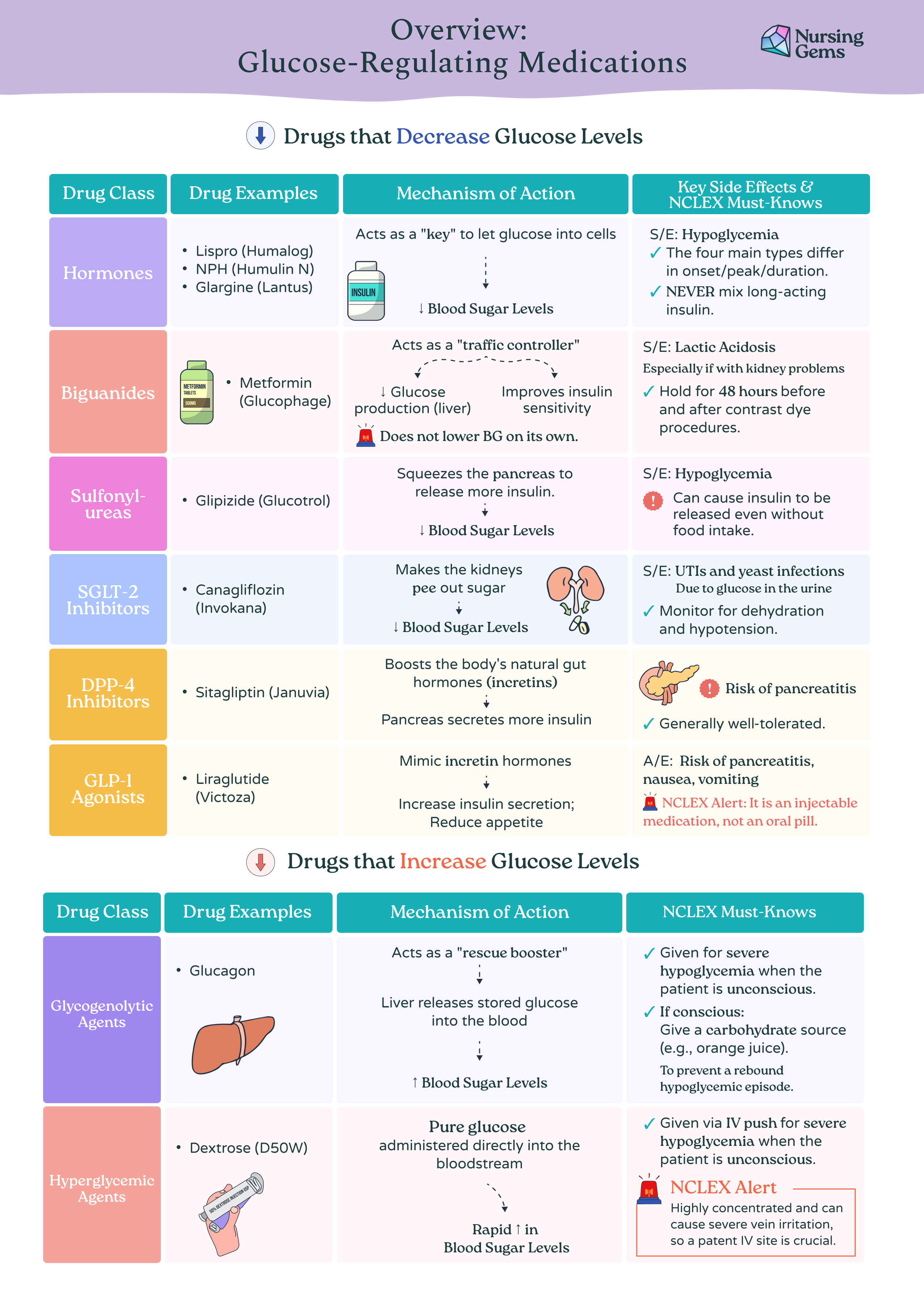 The Complete Nursing Pharmacology Workbook