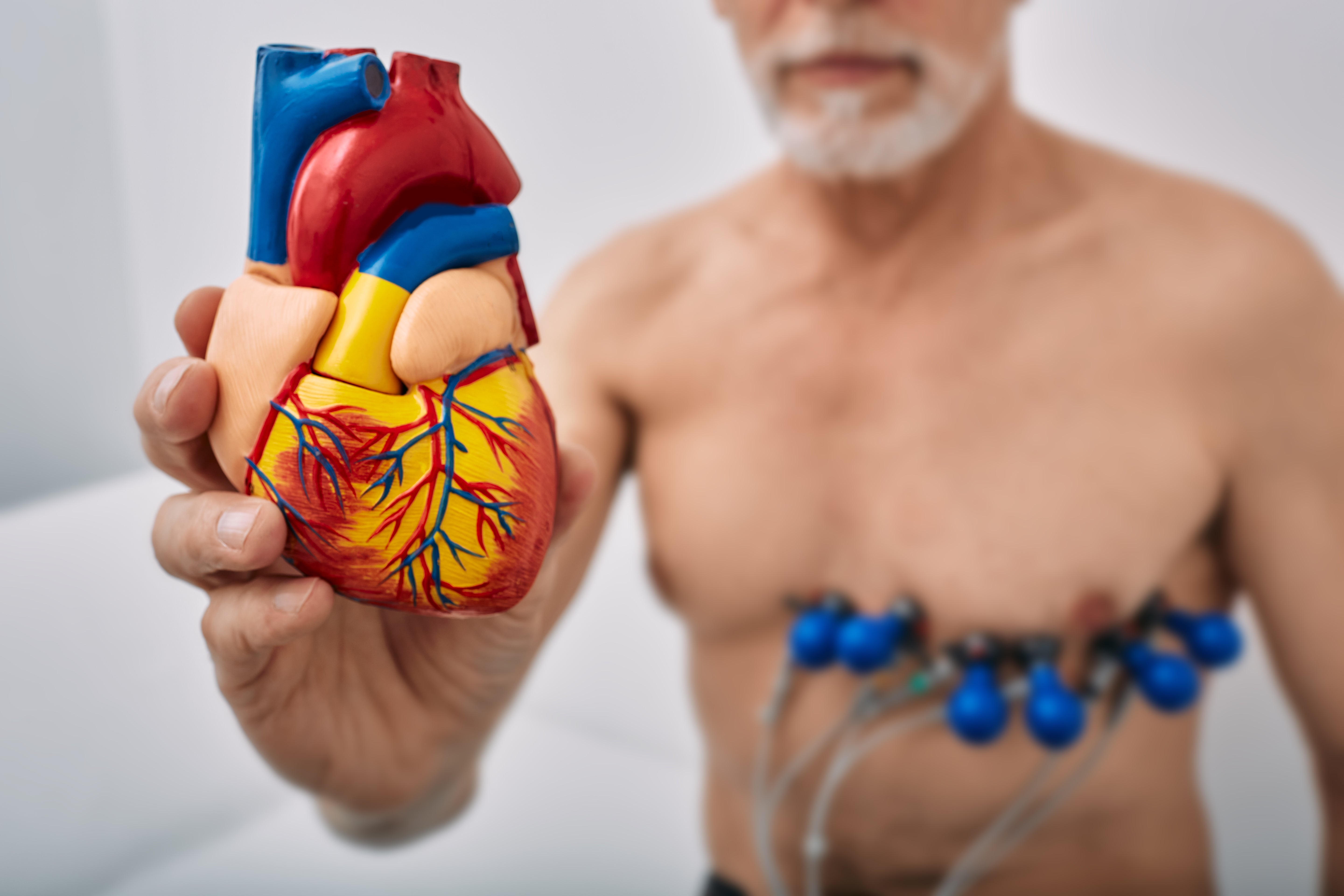 Explore how nursing students can learn about cardiac anatomy and assessment using models and ECG tools. Gain essential skills to recognize signs of heart failure and monitor heart function.